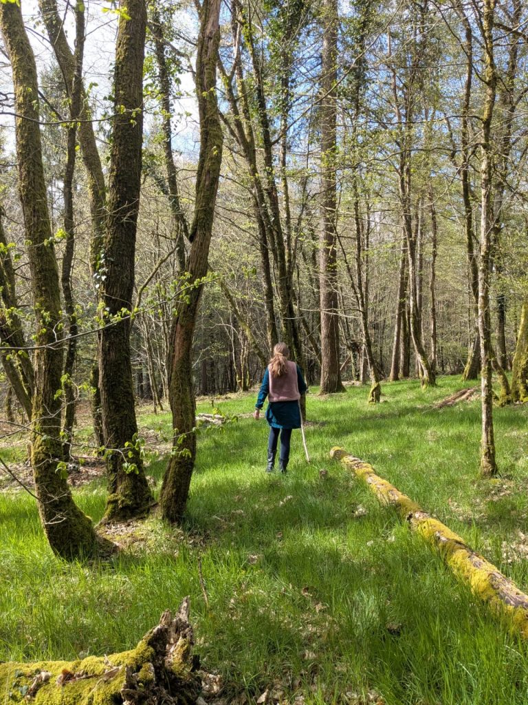 Filière intégrée châtaignier — atelier et forêt de la Manufacture Saint-Eutrope à Janailhac